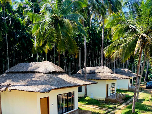 top view of cottages in magenta resort dandeli