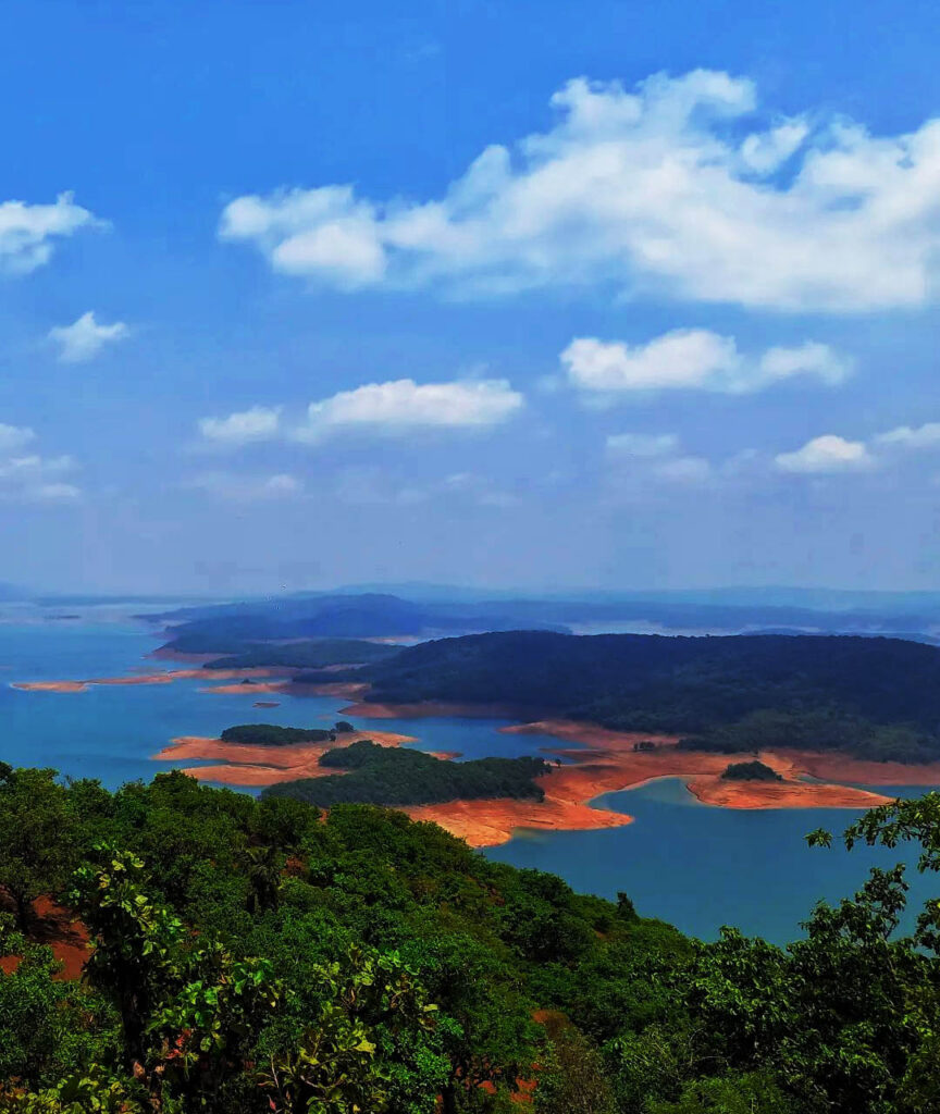 Scenic view of dandeli back water